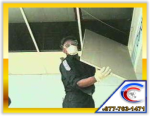 We Replace Water Damaged Ceiling Tile during the Cleaning and Remodeling Process