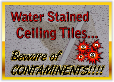 Water Stain Ceiling Tile should be replaced because they are a health risk.