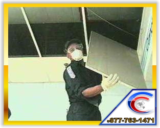 Ceiling Tile can be replace and the grids can be cleaned to save you valuable dollars over total ceiling replacement.