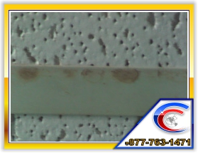Here is what your grids/t-Bar and diffusers could look like if your diffuser and grids are not restored using the right ceiling cleaning products.